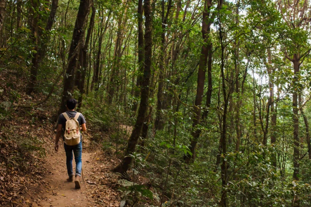 Terrain enclavé et droit de passage : comment faire valoir vos droits